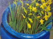 DAFFS IN BLUE POT
