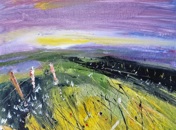 COTTON GRASS (1)