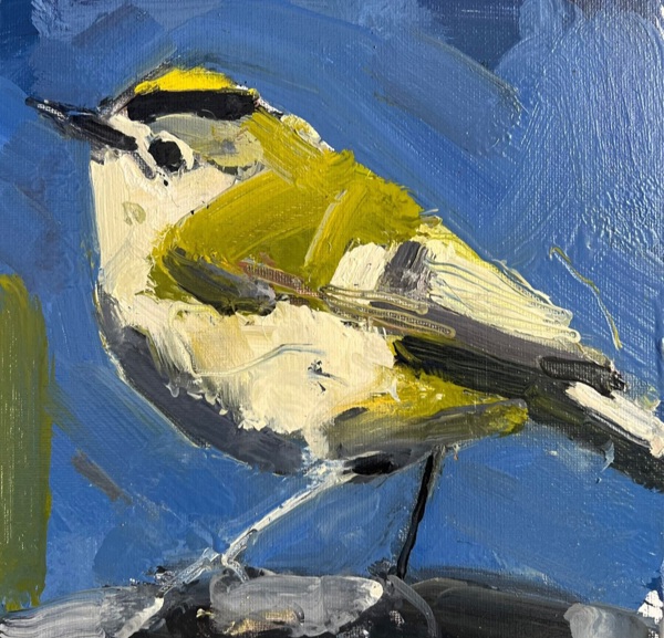 GOLD CREST