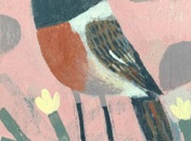 STONECHAT