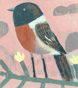 STONECHAT