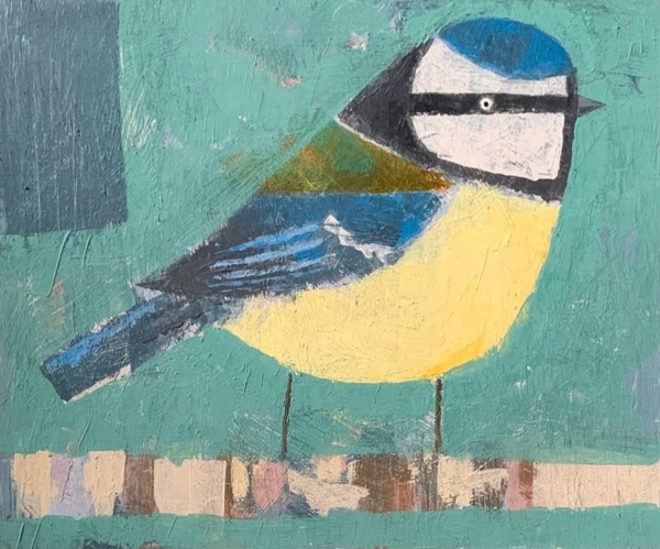BLUE TIT