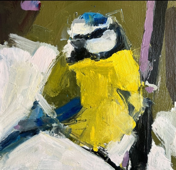 BLUE TIT