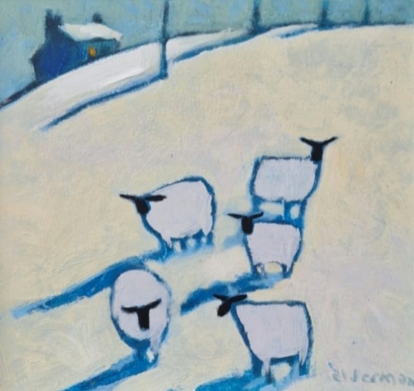 HILL SHEEP