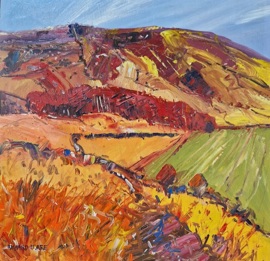 MOORLAND, DERBYSHIRE