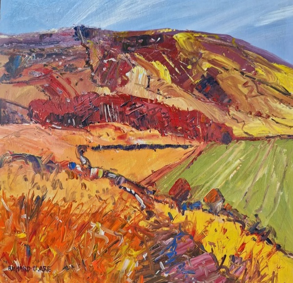 MOORLAND, DERBYSHIRE