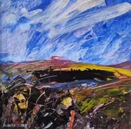 BLACK PEAT