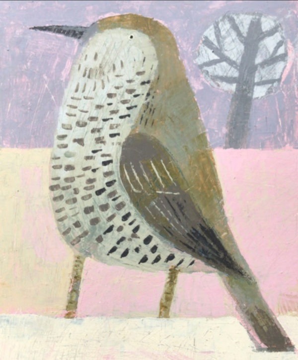MISTLE THRUSH