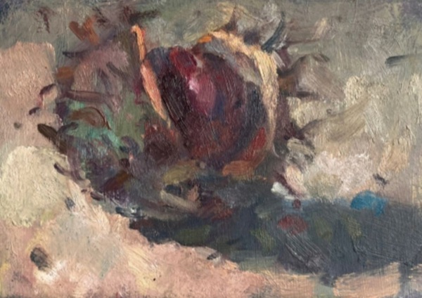 CONKER STUDY II